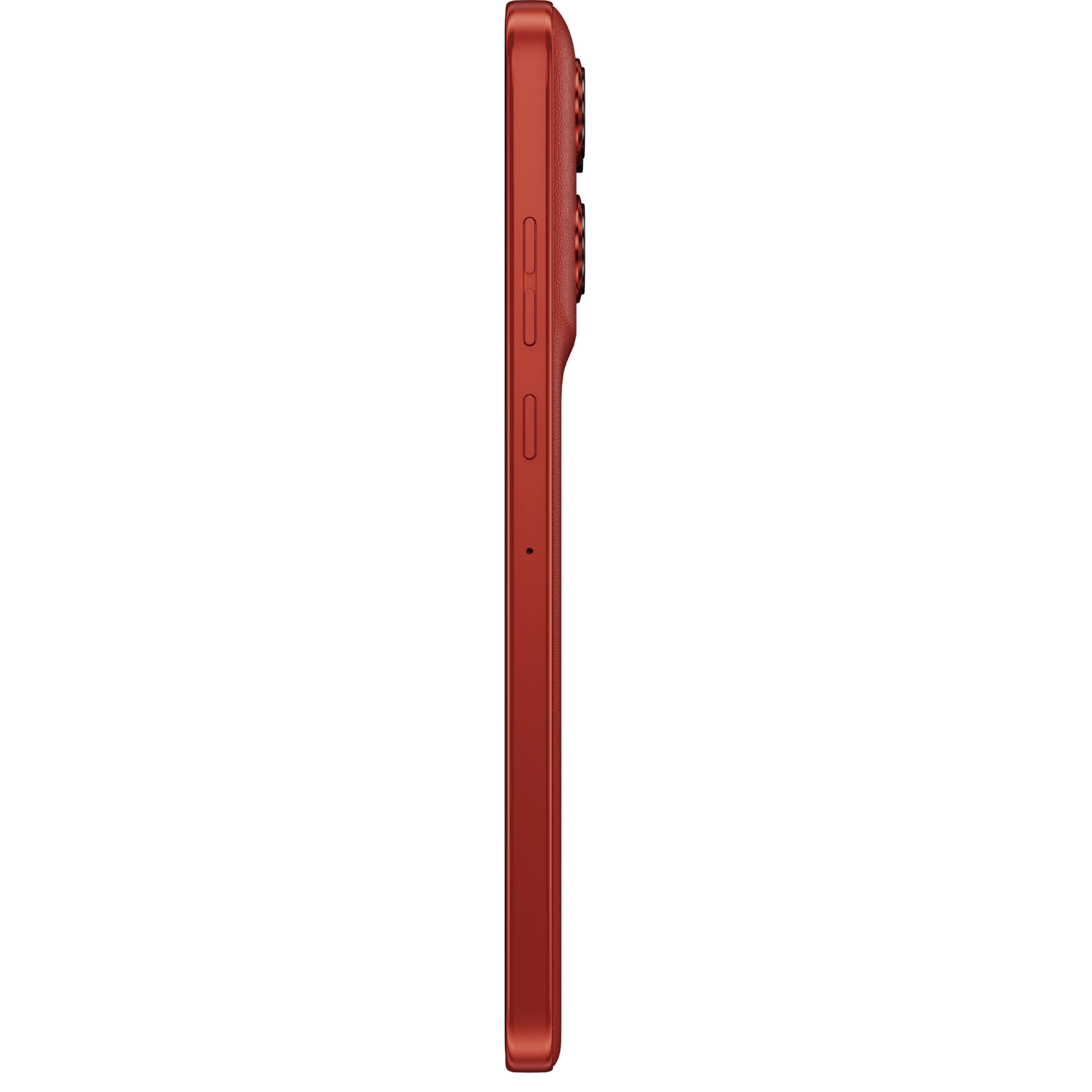 Seitenansicht Motorola 60 Neo in Poinciana.