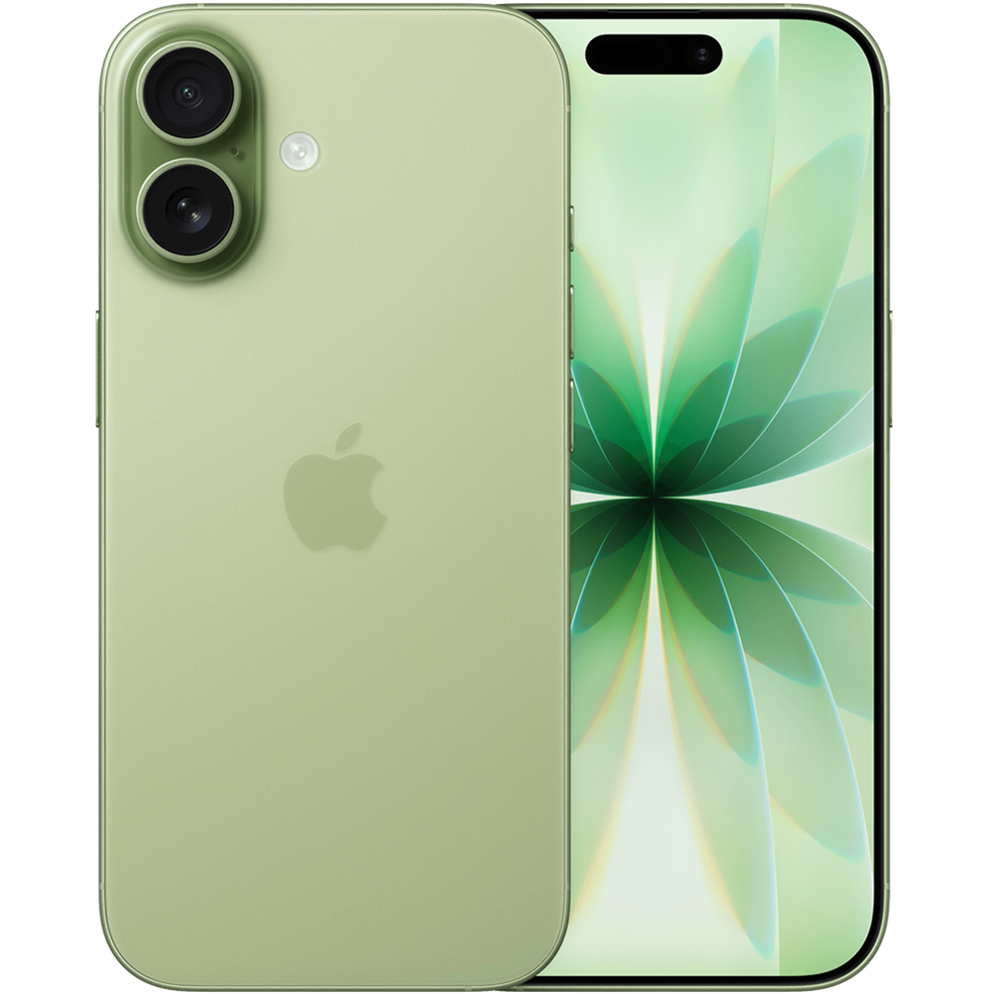 Rück- & Frontansicht Apple iPhone 17 Sage.