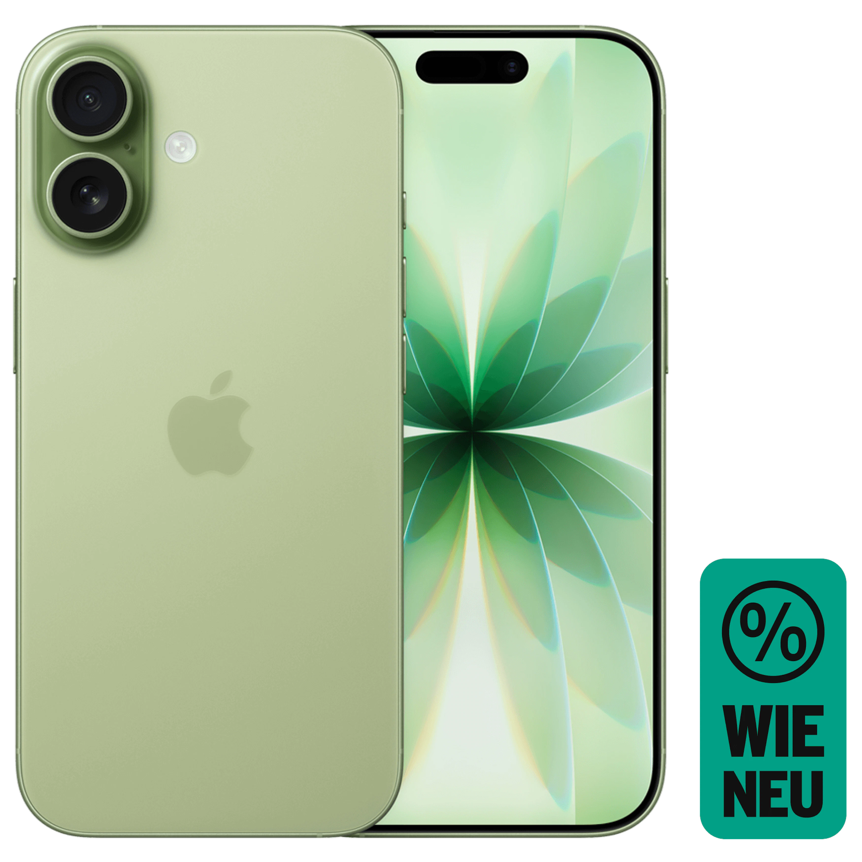 Rück- & Frontansicht Apple iPhone 17 Sage. Wie neu.