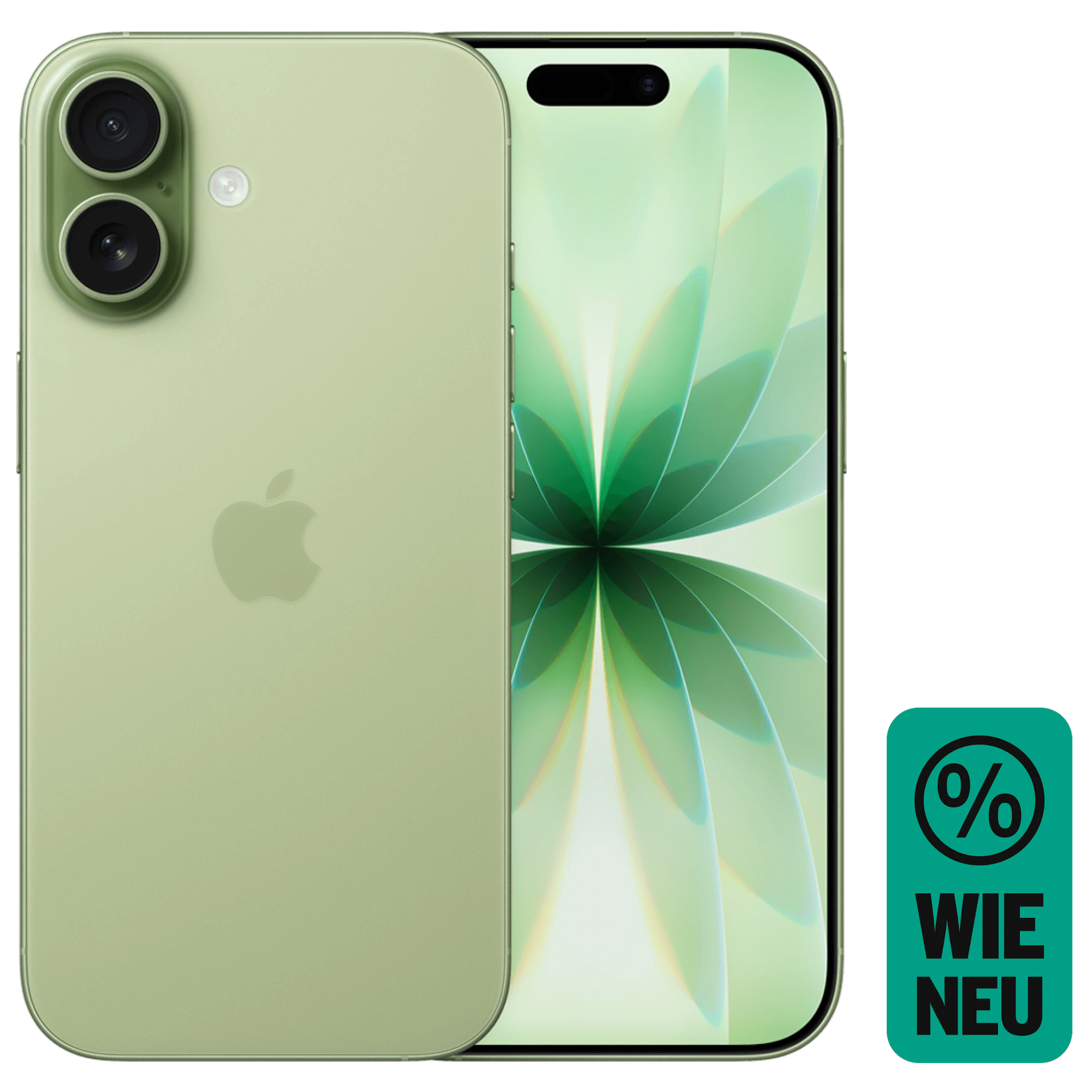 Rück- & Frontansicht Apple iPhone 17 Sage. Wie neu.
